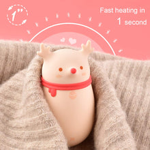 Load image into Gallery viewer, HomeLifairy 2 in 1 Hand Warmers