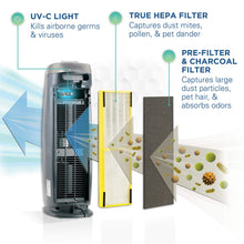 Load image into Gallery viewer, Germ Guardian True HEPA Filter Air Purifier
